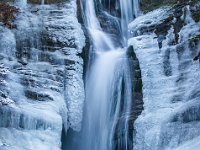 DSC 0552 Kopie2 Kopie